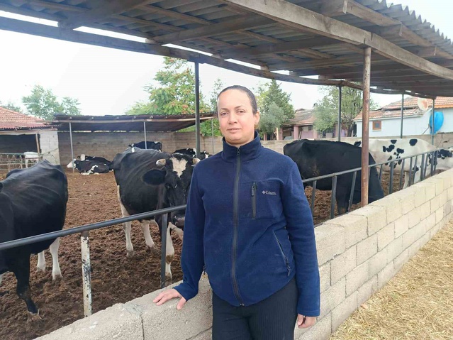 Edirne Havsa'da kadın çiftçi, Genç Çiftçi Projesi'yle sürüsünü 30 başa çıkardı