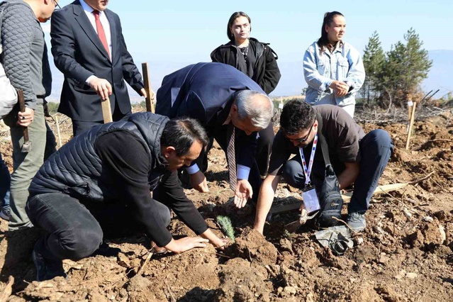 Karabük'te ErasmusDays etkinliğinde 192 öğretmen ve öğrenci 250 fidan dikti