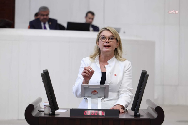YENİ Partili Asu Kaya, Osmaniye'nin eğitim desteği dışında kalmasını TBMM'ye sordu
