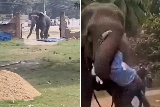 Bakıcısını ağır yaraladı, köydeki evleri yıktı! 13 saatte yakalandı