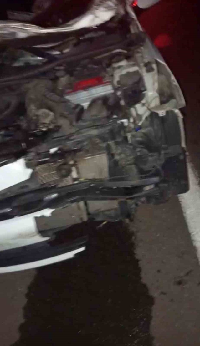 Bingöl'de ineğe çarpan otomobilde 2'si ağır, biri bebek 4 kişi yaralandı