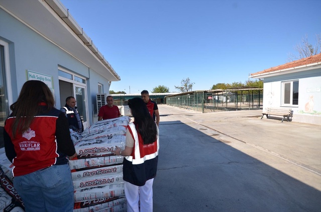 Edirne Vakıflar Bölge Müdürlüğü sokak hayvanlarına 4 Ekim'de mama verdi