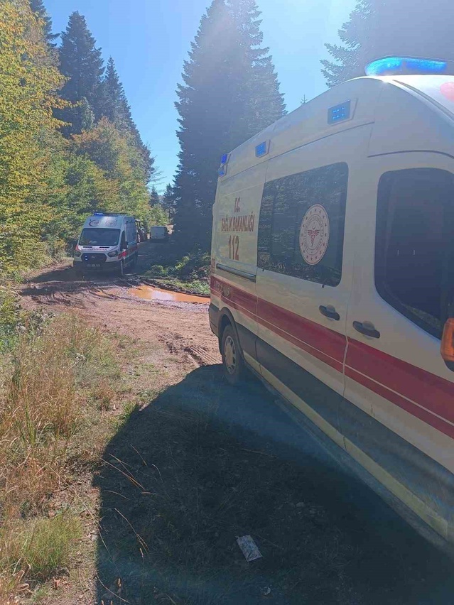 Sakarya Pamukova'da devrilen traktörün altında kalan dede öldü, torunu yaralandı