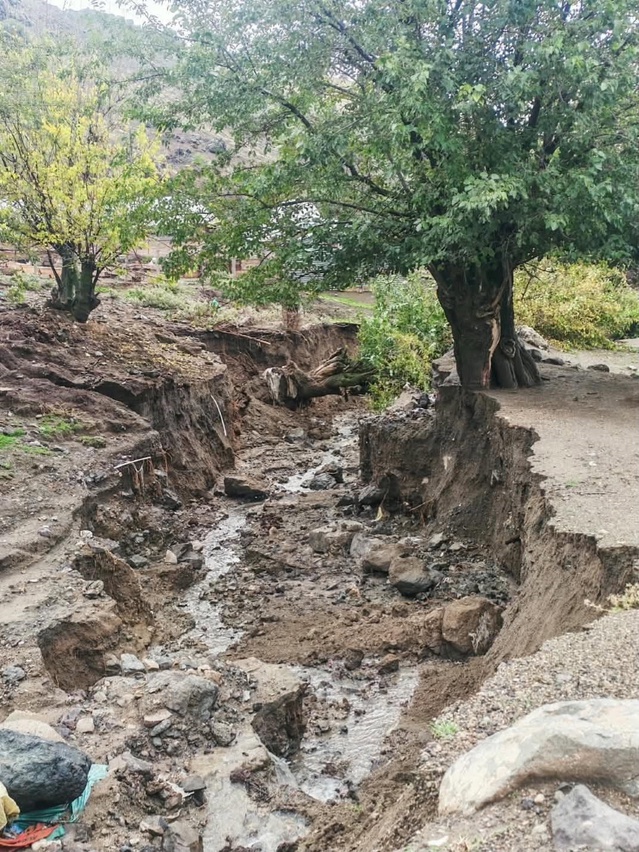 Elazığ Beydoğmuş'ta yağış sonrası ağaçlar devrildi, arazide metrelerce çukur oluştu