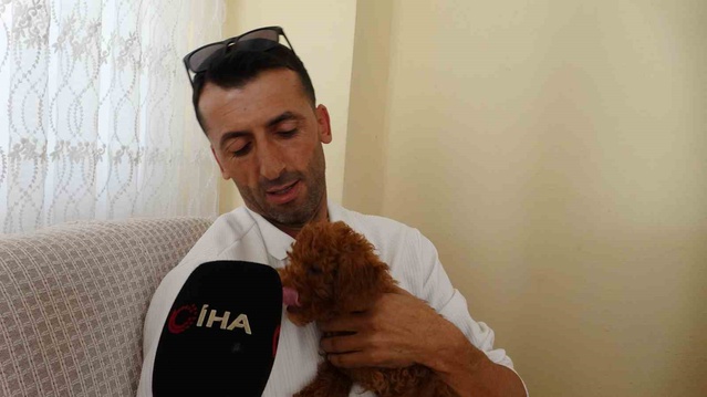 Antalya'da otobüs şoförü, oyuncak sandığı köpeğin çipsiz olduğunu görünce sahiplendi