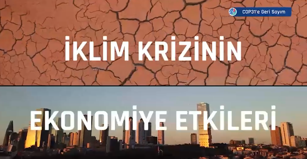 COP31'e Geri Sayım: İklim krizi iş dünyasını nasıl etkileyecek?