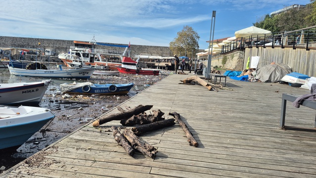 Zonguldak'ta fırtınanın sürüklediği ağaçlar kesilip ihtiyaç sahiplerine yakacak oldu