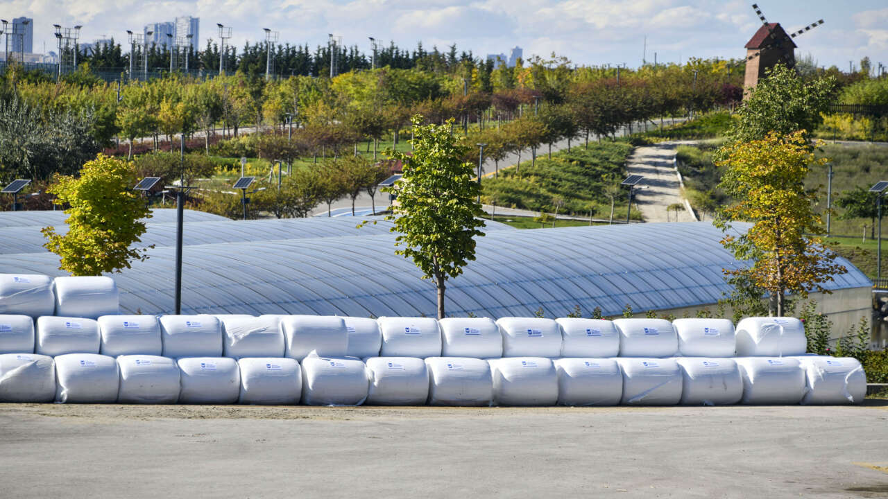 ABB'den üreticiye yem desteği: ATA Çiftliği'nde hasat tamamlandı