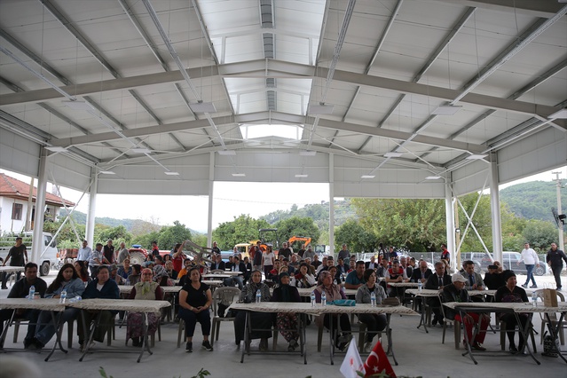 Muğla Ula'da kadın çiftçilere defne fidanı dağıtıldı, yıllık 1600 ton hasat yapıldı
