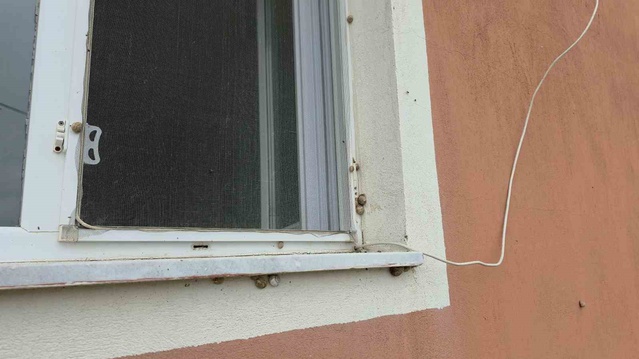 Depremden sonra gelen istila! Evleri ve bahçeleri sardı, ilaç da çare oluyor